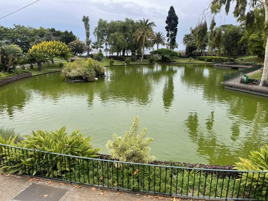 Grădina Botanică a Madeirei